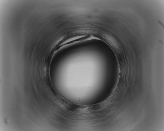 X0000096400120200801311359