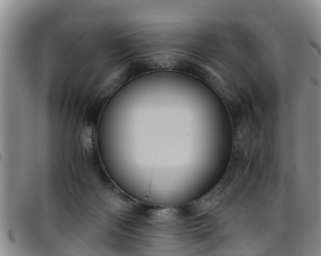 X0000096400122200801311359