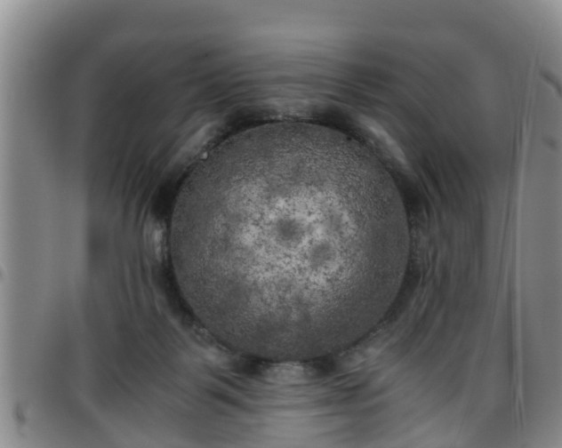 X0000096400123200801311359