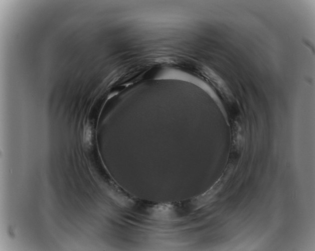 X0000096400124200801311359