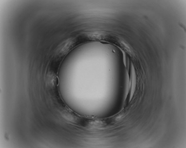 X0000096400125200801311359