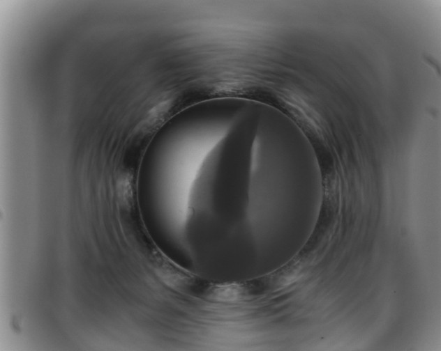 X0000096400127200801311359