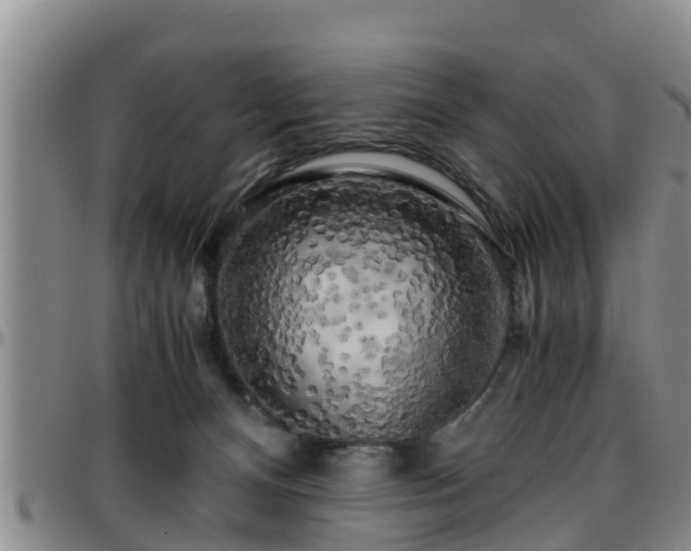 X0000096400128200801311359