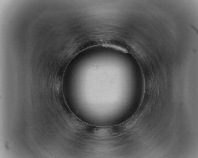 X0000096400129200801311359