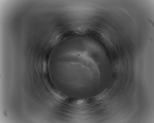 X0000096400130200801311359