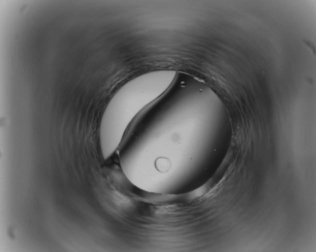 X0000096400132200801311359