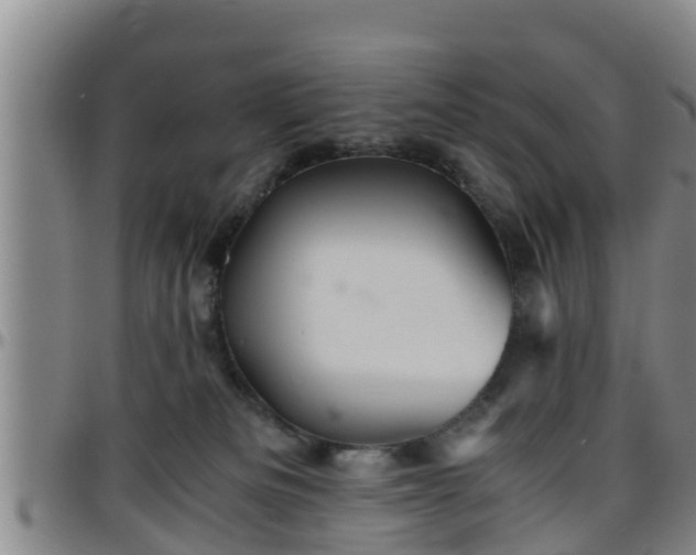 X0000096400133200801311359