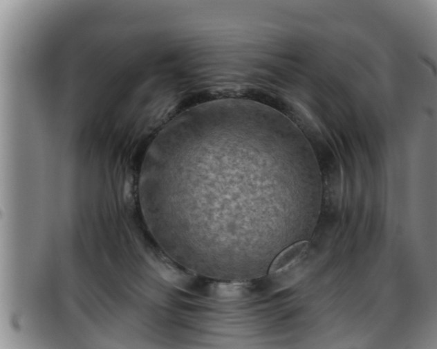 X0000096400134200801311359