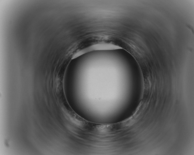 X0000096400136200801311359