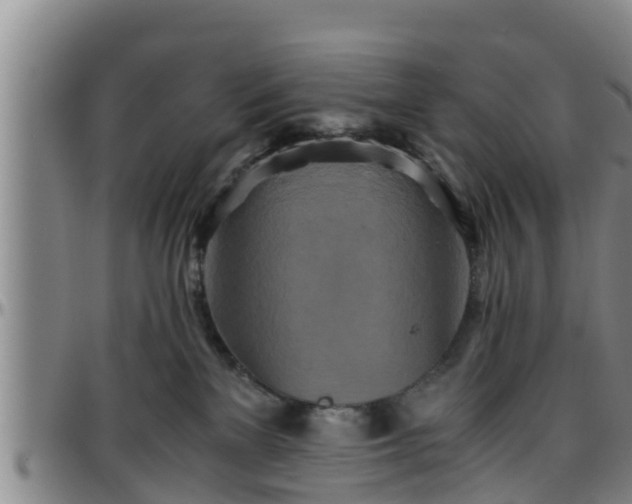 X0000096400137200801311359