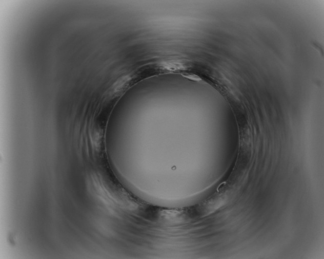 X0000096400139200801311359