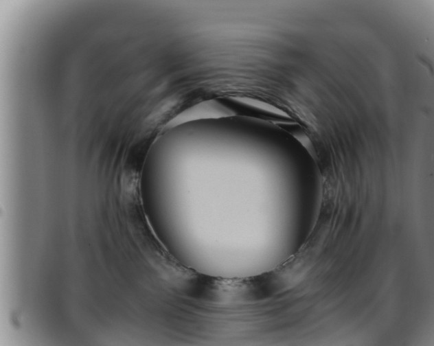 X0000096400141200801311359