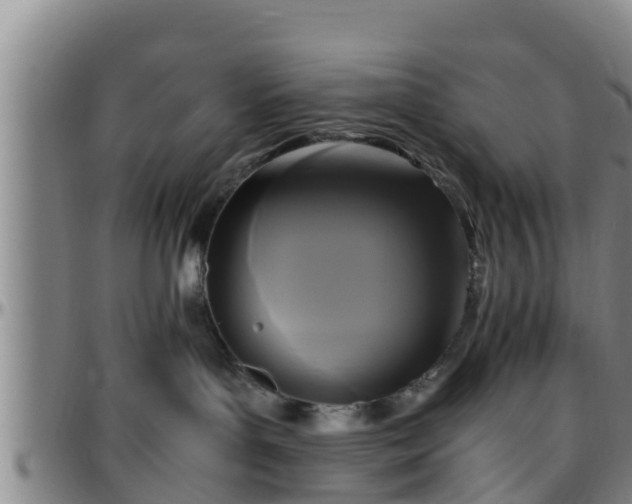 X0000096400143200801311359