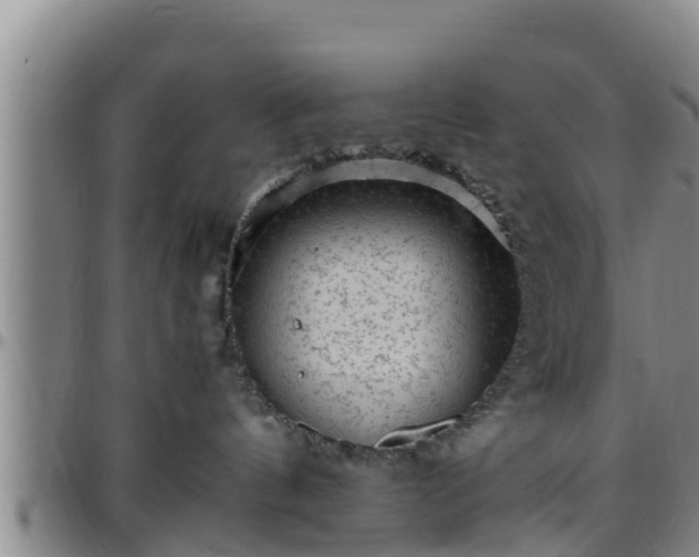 X0000096400144200801311359