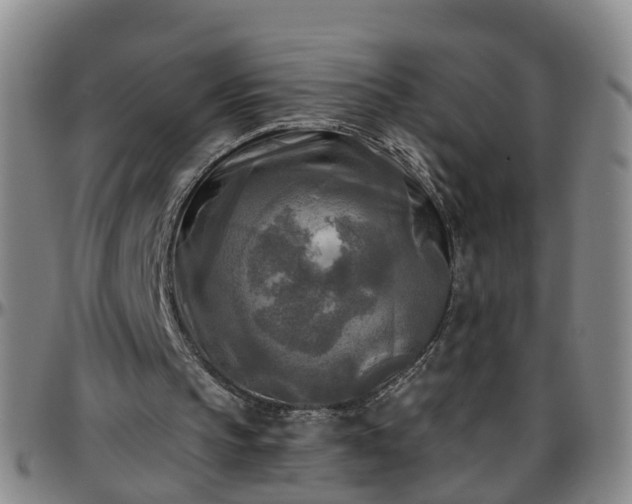 X0000096400145200801311358