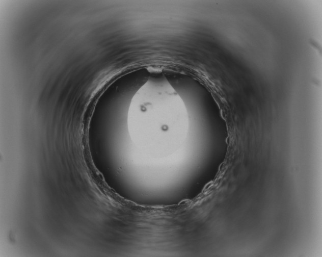 X0000096400146200801311358