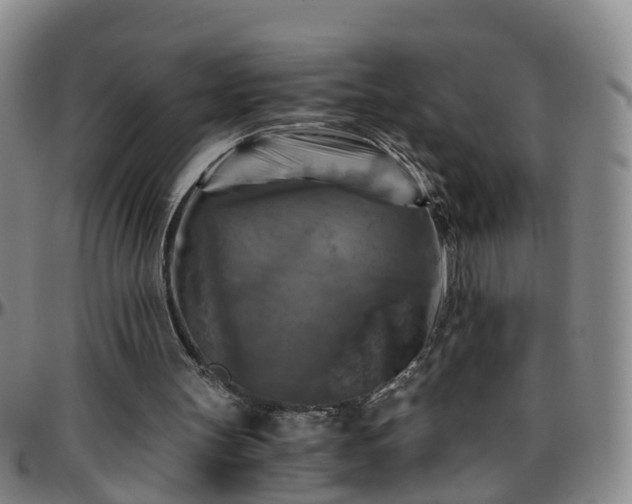 X0000096400147200801311358