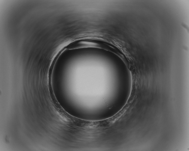 X0000096400148200801311358