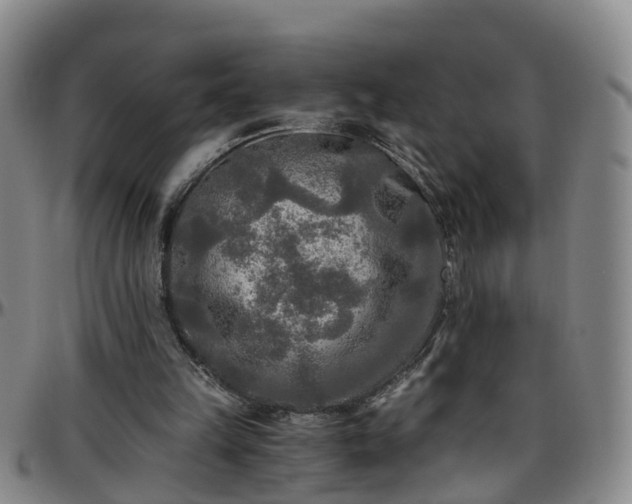 X0000096400149200801311358