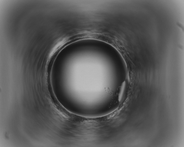 X0000096400150200801311358