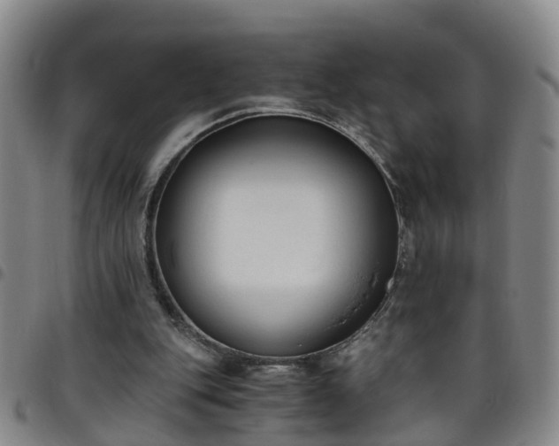 X0000096400151200801311358