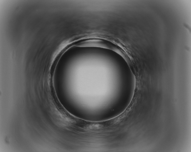 X0000096400152200801311358