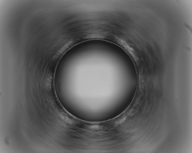 X0000096400153200801311358