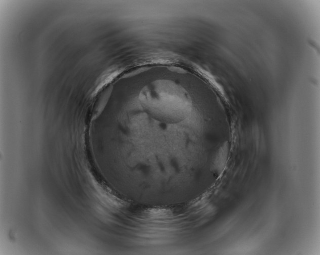 X0000096400154200801311358