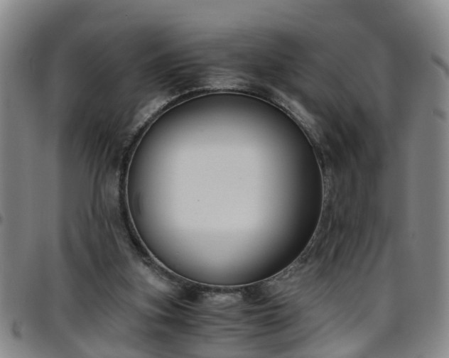 X0000096400155200801311358