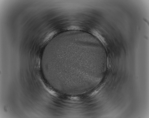 X0000096400157200801311358