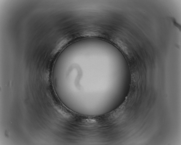 X0000096400159200801311358