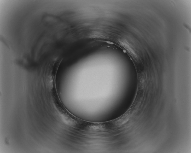 X0000096400160200801311358