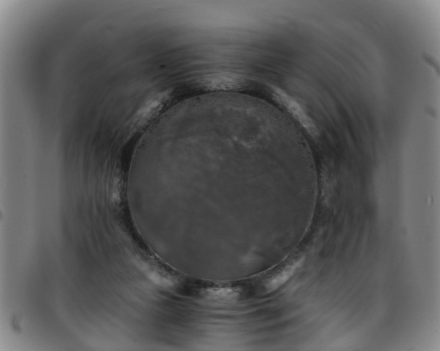 X0000096400161200801311358