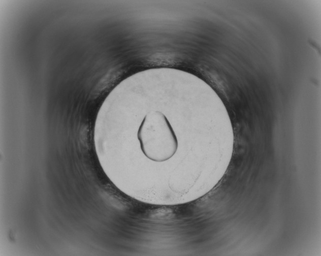 X0000096400162200801311358