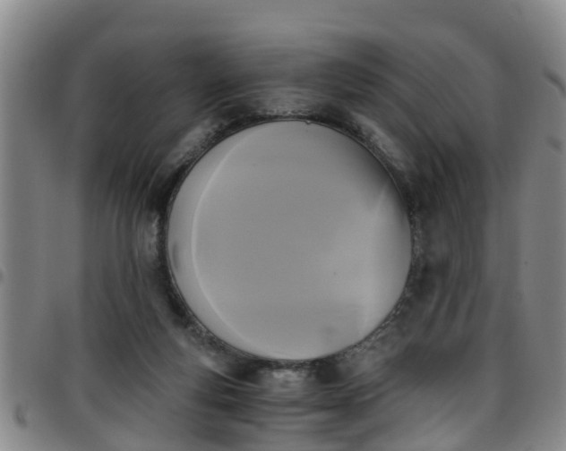 X0000096400163200801311358