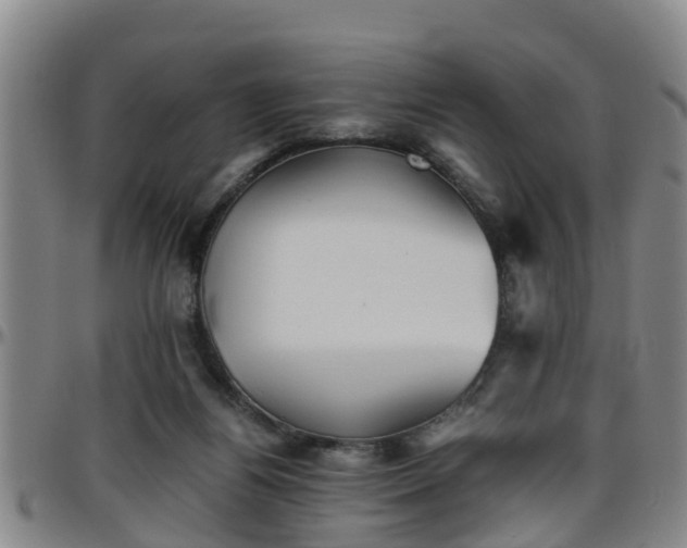 X0000096400164200801311358