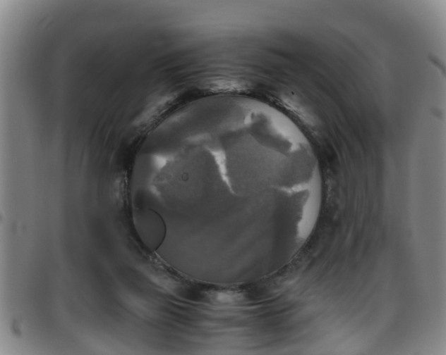 X0000096400165200801311358