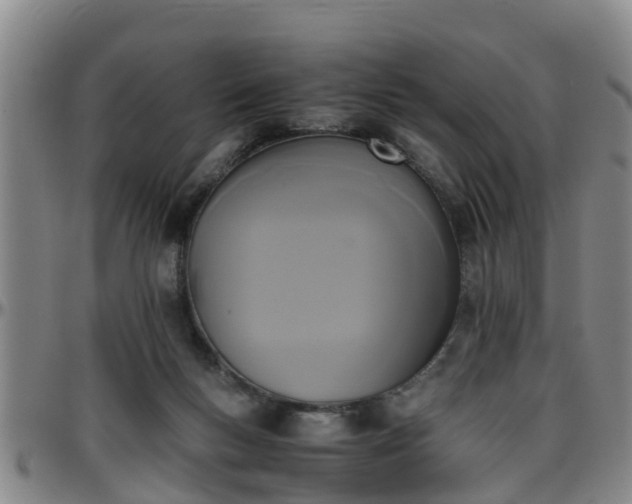 X0000096400167200801311358