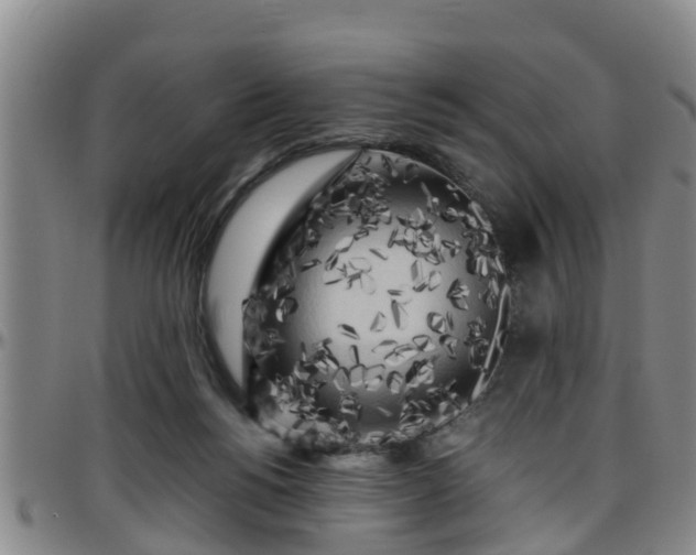 X0000096400168200801311358