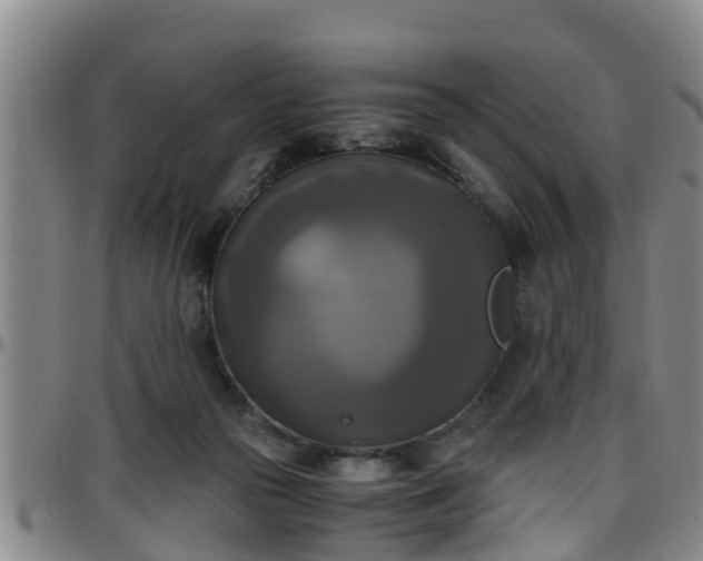 X0000096400169200801311358