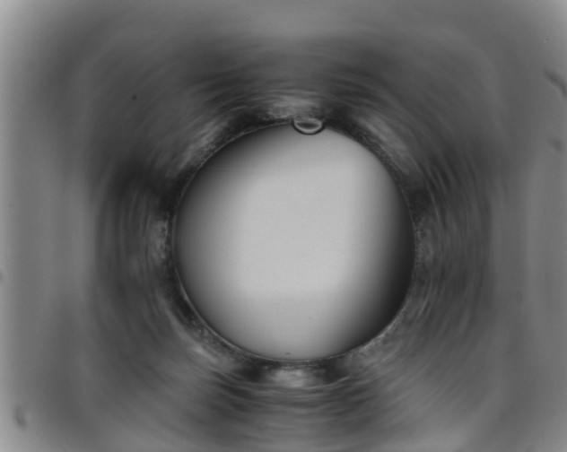 X0000096400171200801311358