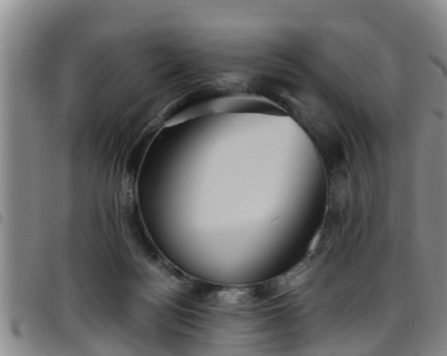 X0000096400172200801311358