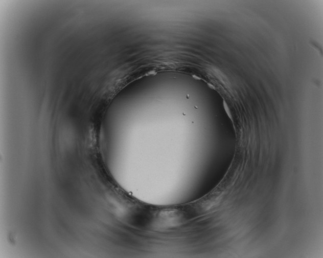 X0000096400173200801311358