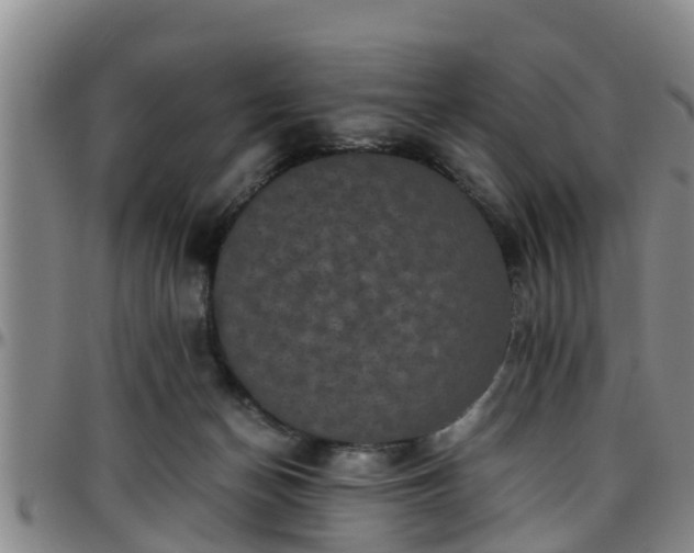 X0000096400174200801311359