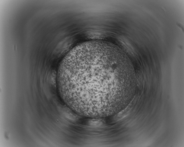 X0000096400175200801311359