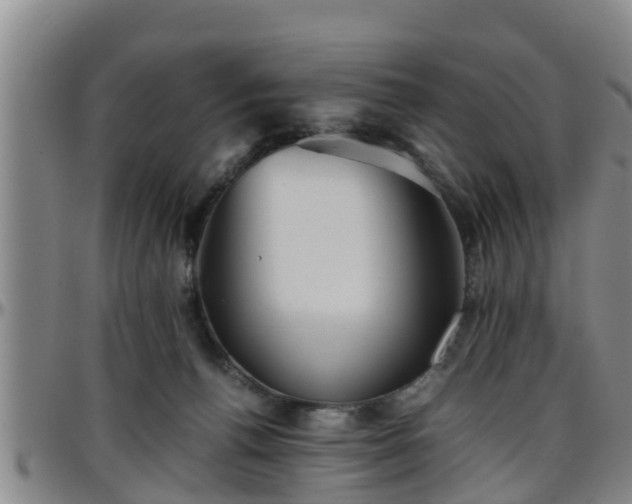 X0000096400176200801311359