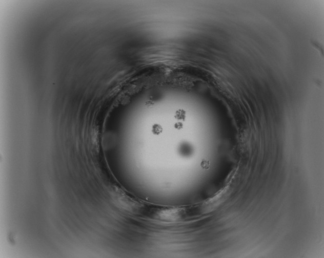 X0000096400178200801311359