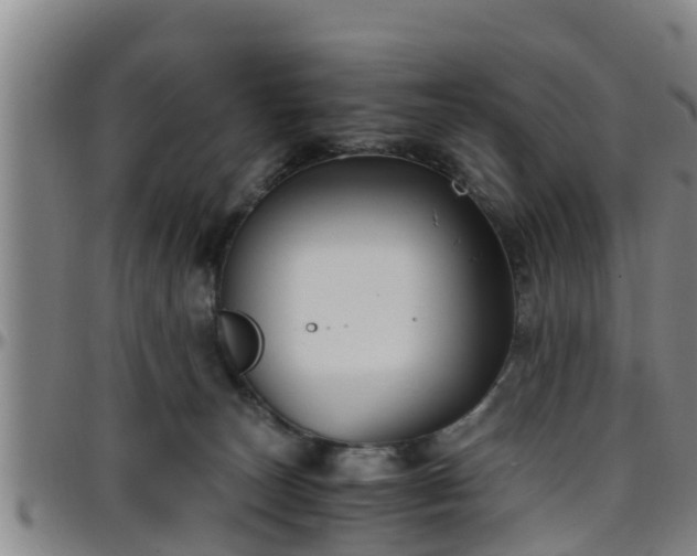 X0000096400179200801311359