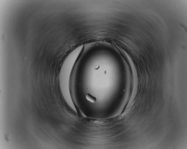 X0000096400180200801311359