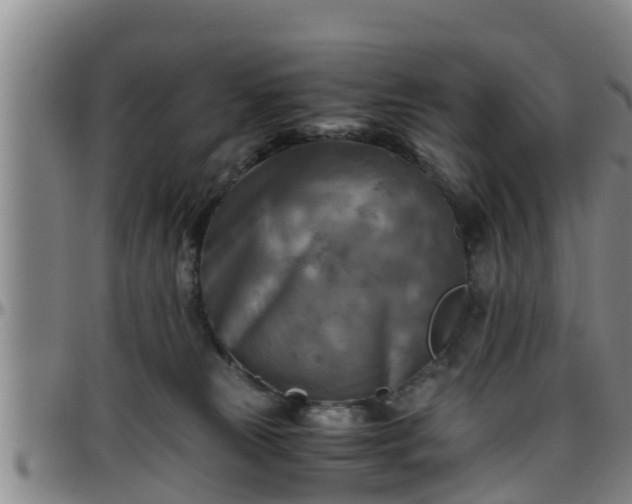 X0000096400181200801311359